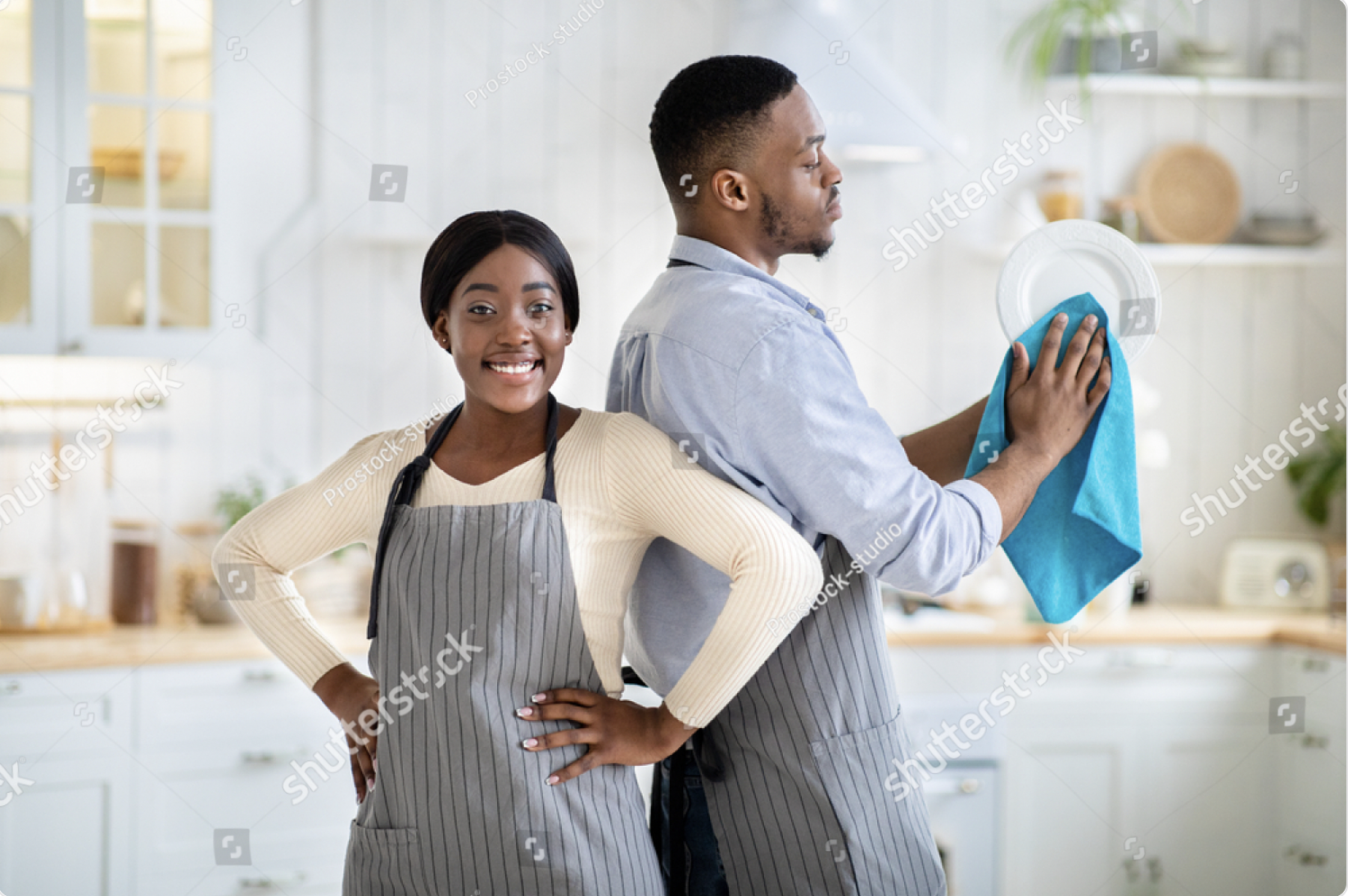 Professional Cleaner